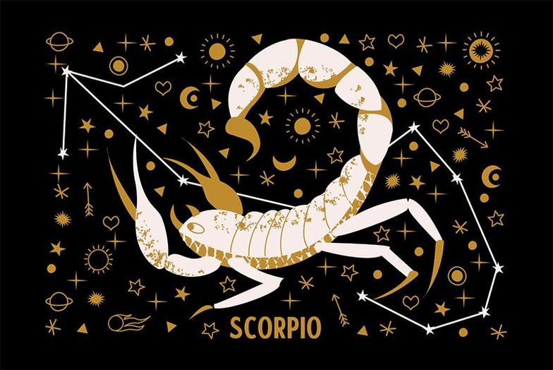47 Scorpio Quotes That Reveal The Secrets Of The Sign
