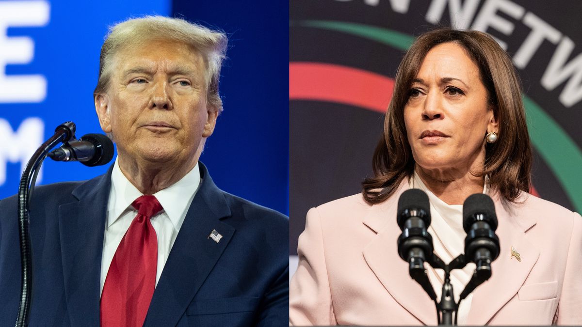 Donald Trump made racist comments about Kamala Harris during his interview at the National Association of Black Journalists