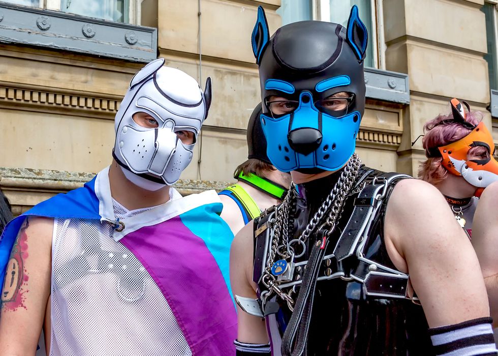 gay men dressed as pups