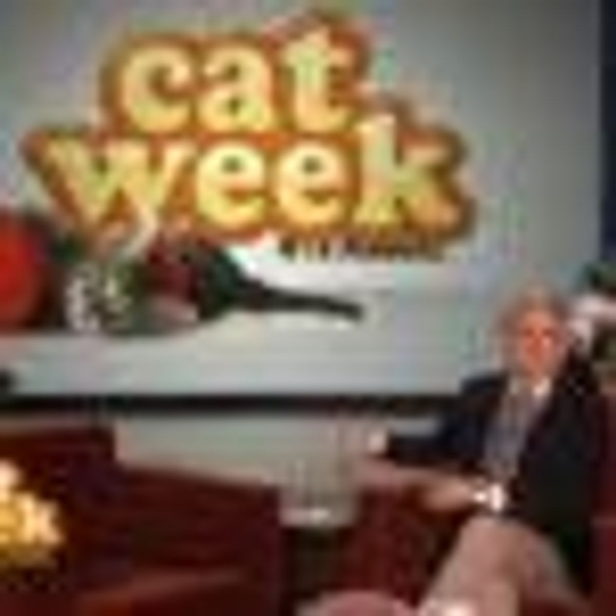 WATCH: Ellen Kicks Off 4th Annual 'Cat Week!' 