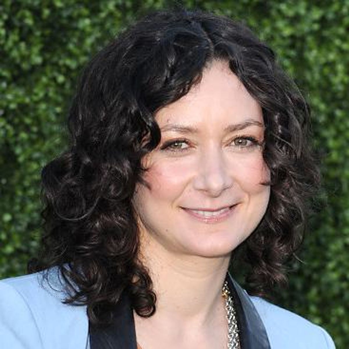 Sara Gilbert and Partner Allison Adler Split