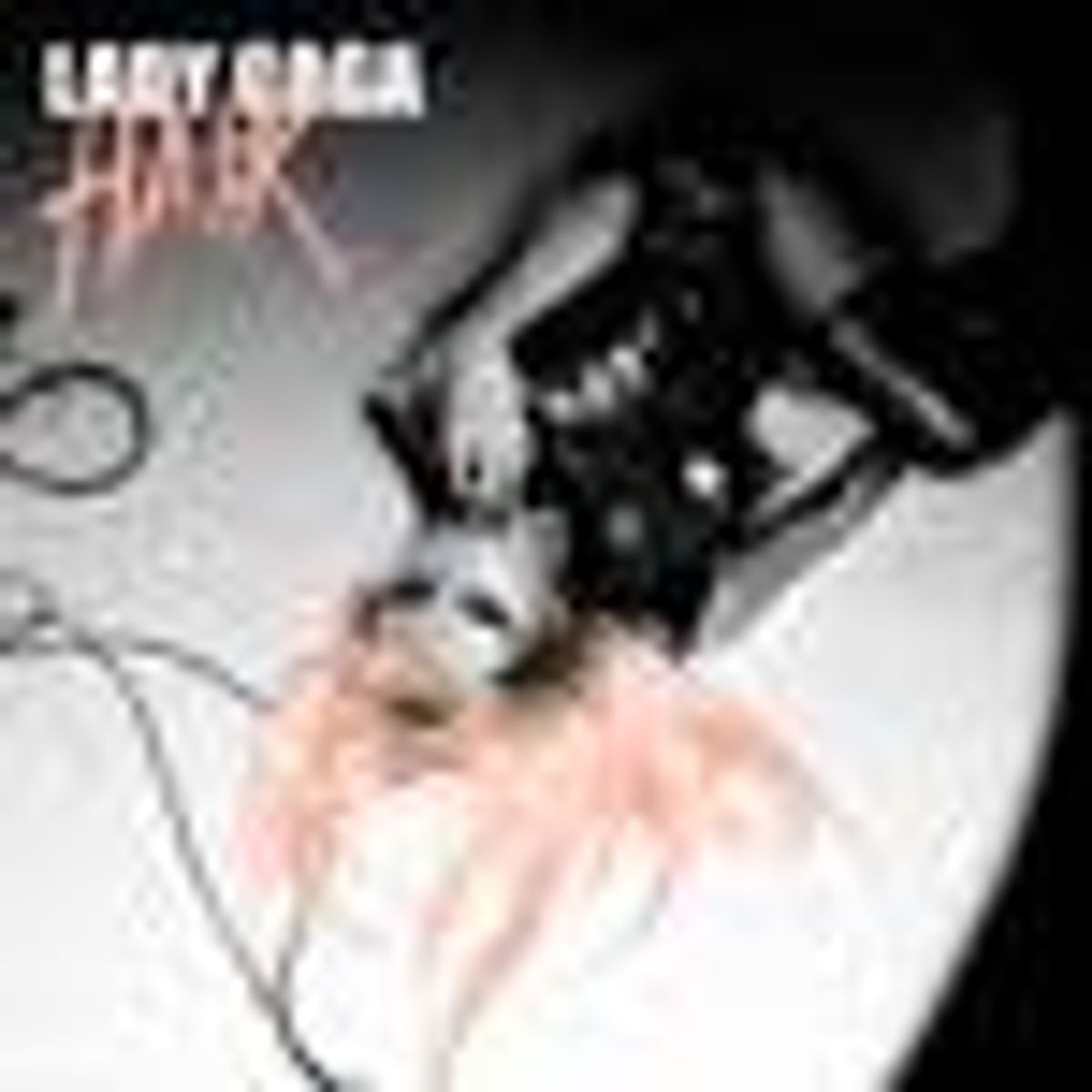 Lady Gaga’s “Hair” is Freedom Personified: Listen! 