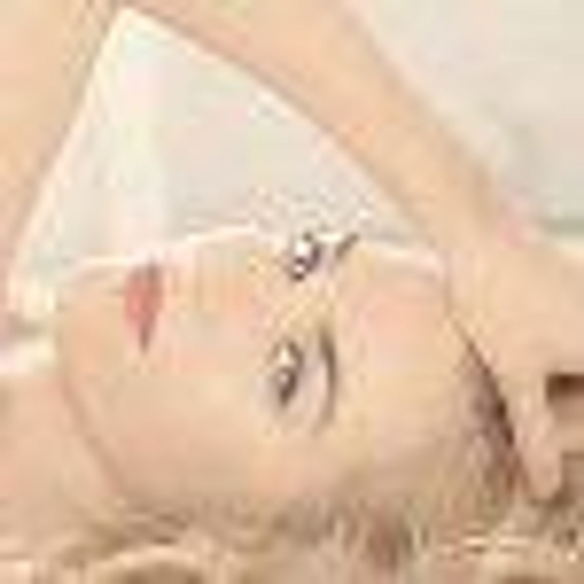 SheWired's Shot of the Day: Kate Winslet is Nude Again - for Lanc�me, Video