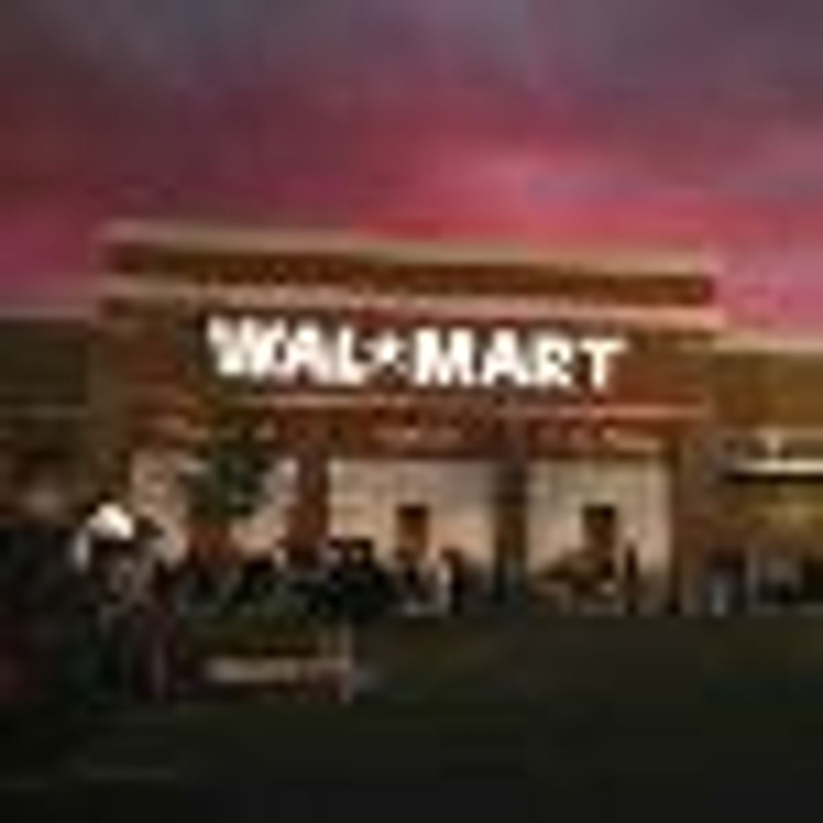 Wal-Mart CEO Backed Gay Adoption Ban