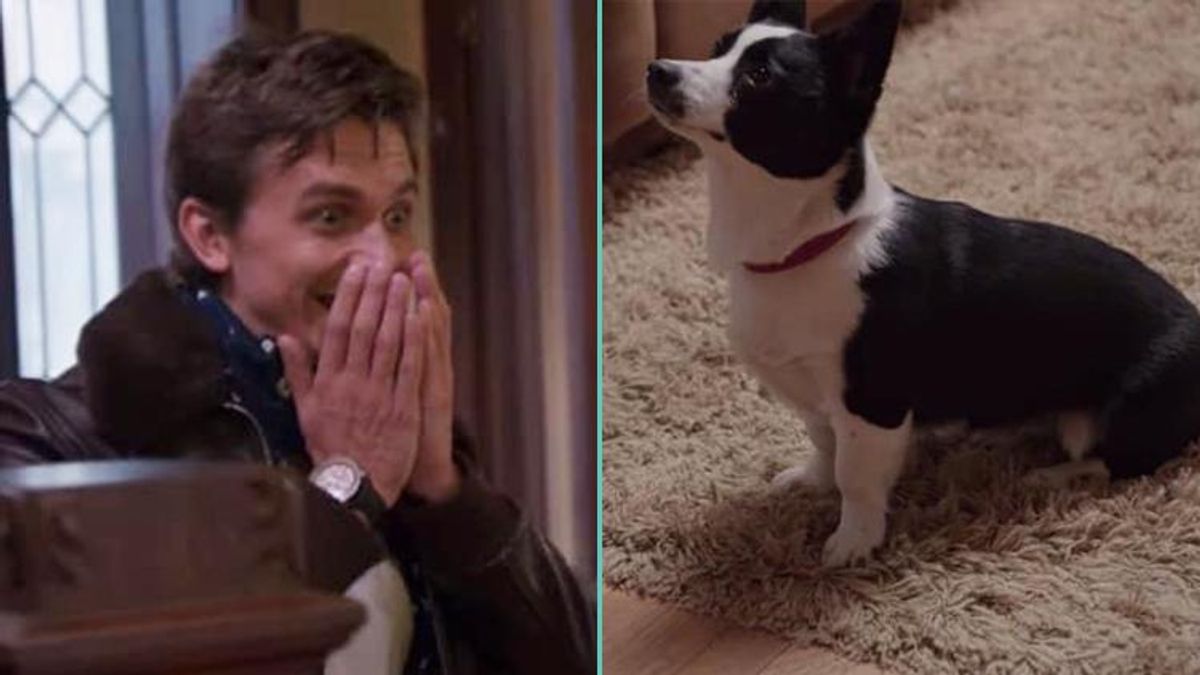 'Queer Eye' Star Antoni Freaking Out Over a Corgi Is So Adorably Pure