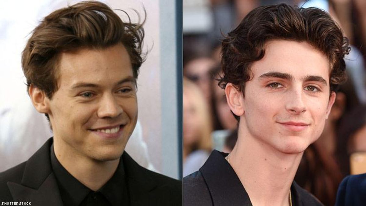 Harry Styles & Timothée Chalamet Talk 'CMBYN's' Infamous Peach Scene