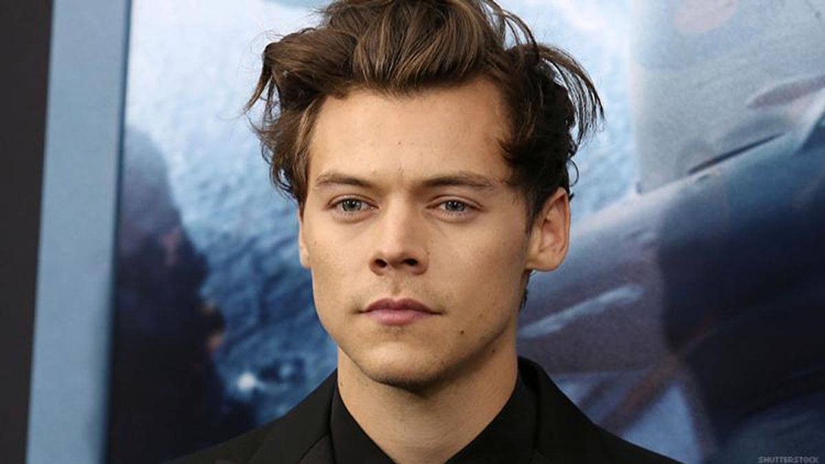 Harry Styles: 'We’re All a Little Bit Gay, Aren’t We?'