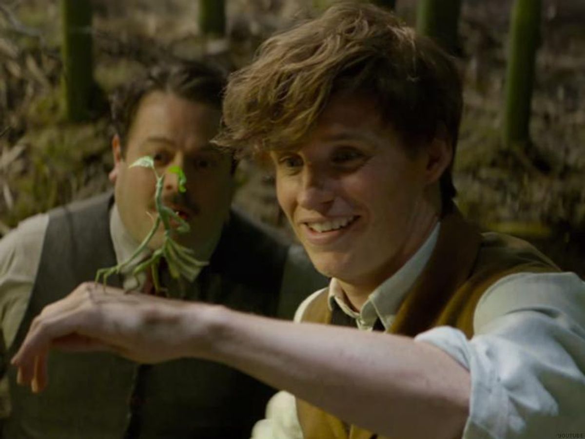 5 Queer Things We Hope to See in the 'Fantastic Beasts' Films