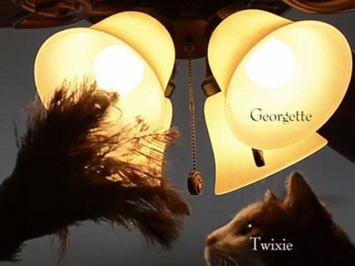 WATCH: 'Downton Tabby' the Downton Abbey Intro Made Better with CATS! 