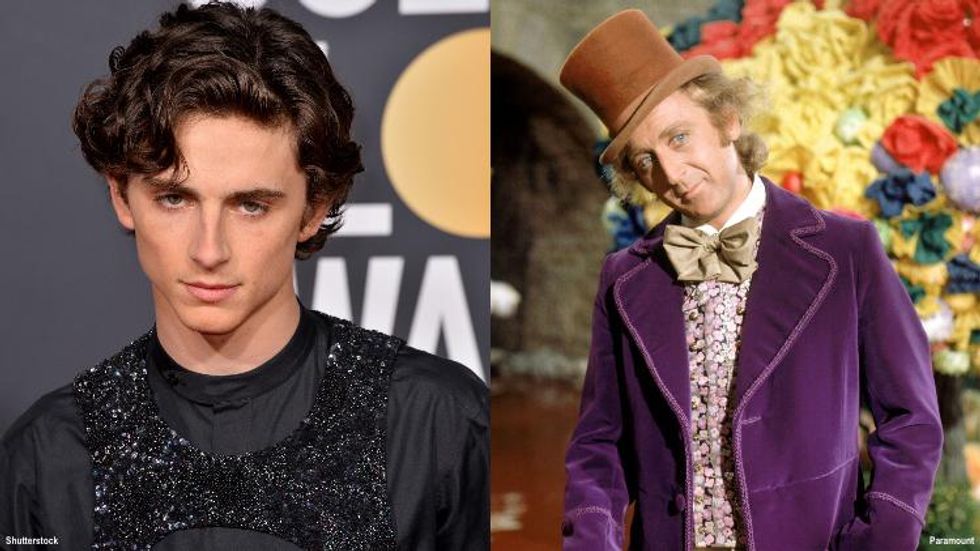 Timothée Chalamet Cast as Young Willy Wonka in Upcoming Origin Movie