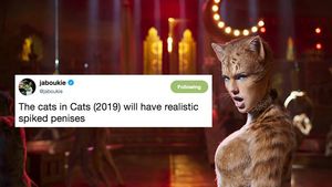 louis + cats = 💘 em 2023