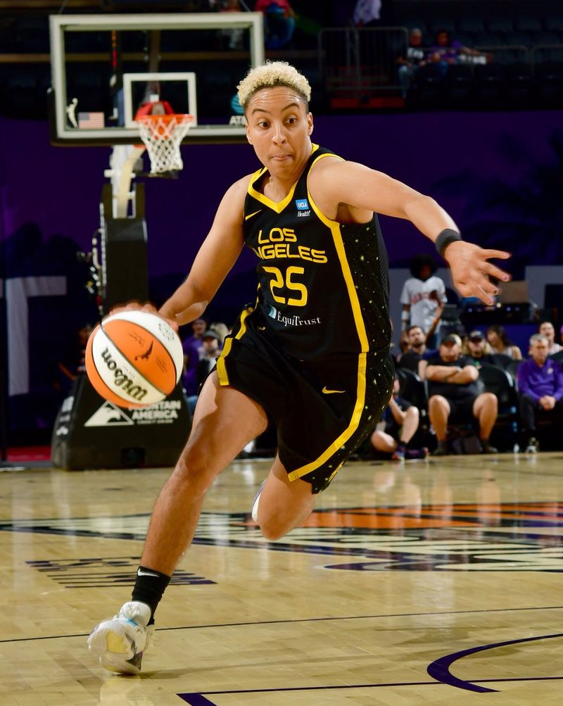 Meet the current 37 queer women of the WNBA