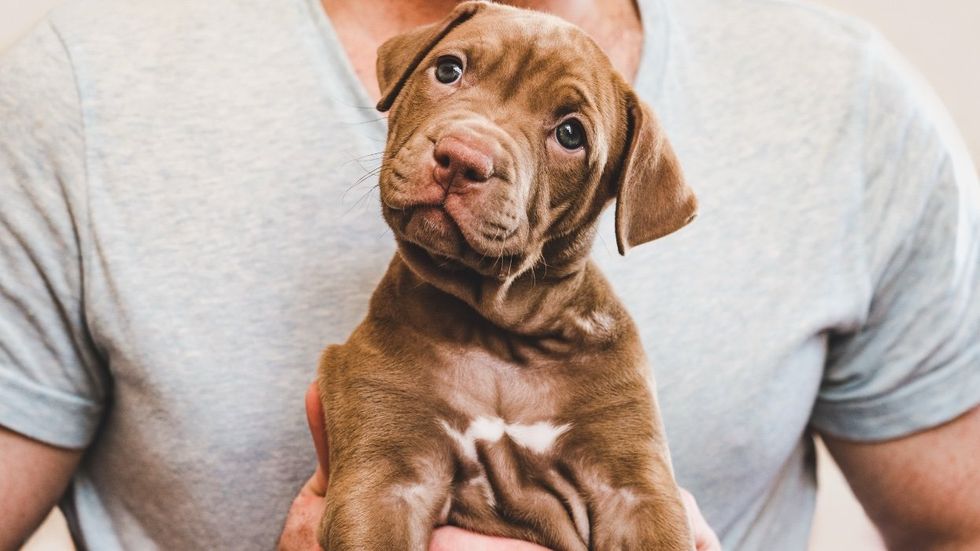 man holding a cute puppy