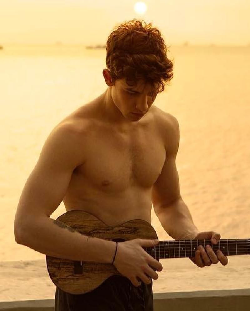 10 Sexy Shirtless Pics of Shawn Mendes to Celebrate His 24th Birthday