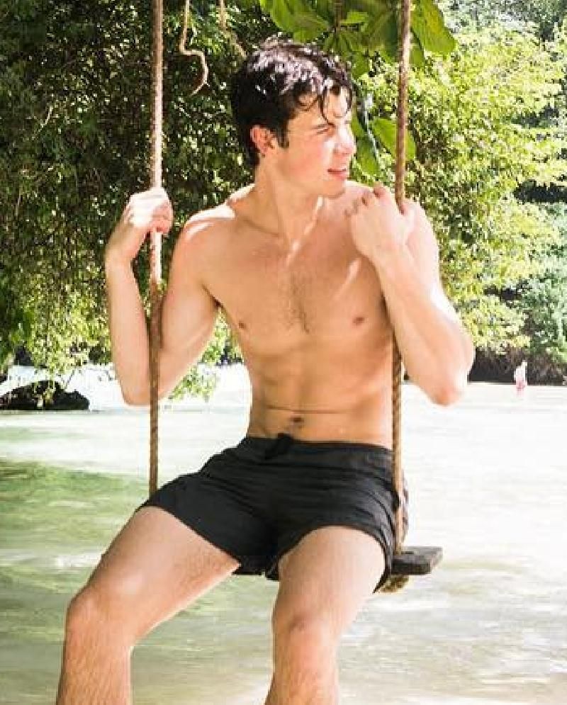 10 Sexy Shirtless Pics of Shawn Mendes to Celebrate His 24th Birthday