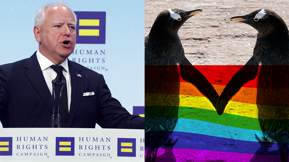 Tim Walz's viral comments about gay penguins and gun control sparks convo about deep-rooted issues