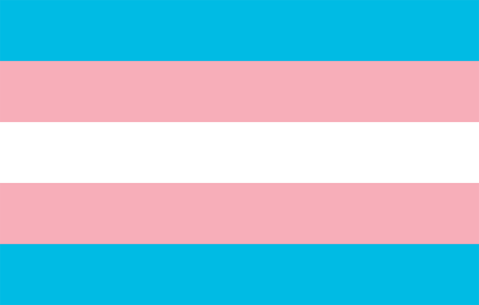 Transgender pride community flag, LGBT symbol. Sexual minorities identity. Vector illustration