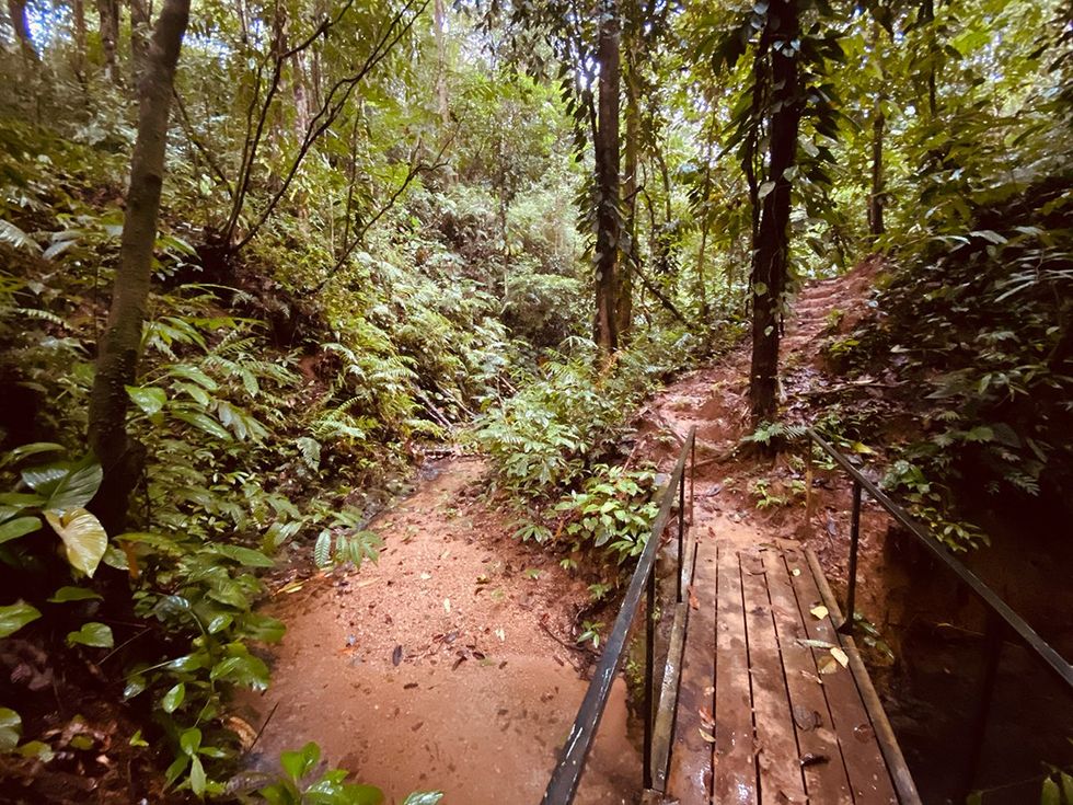 \u200bThe nature trail through the 58-acre private nature reserve at the Hotel Three Sixty in Ojochal, Costa Rica