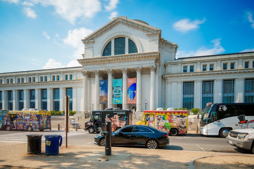 Washington, DC, USA - July 15, 2024: Smithsonian National Museum of Natural History, Washington DC 2024