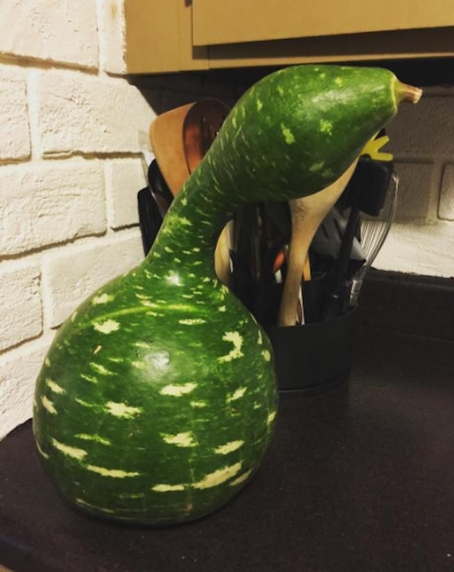 12 Festive Gourds That Are Basically Just Sex Toys