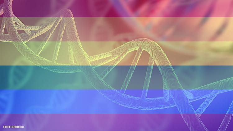 Theres No Gay Gene But Same Sex Attractions Are Genetic Says Science