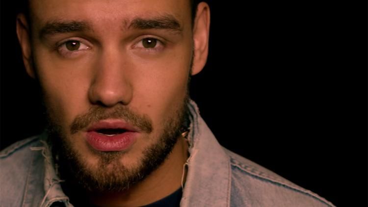 Liam Payne Apologizes For Biphobia On 19 Song Both Ways