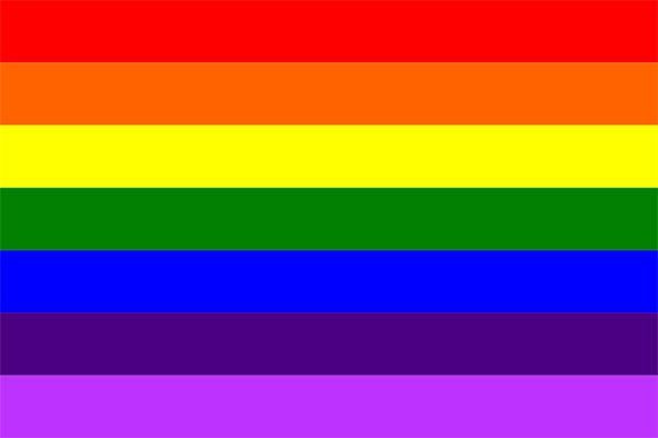 rainbow colrs vs gay pride rainbow