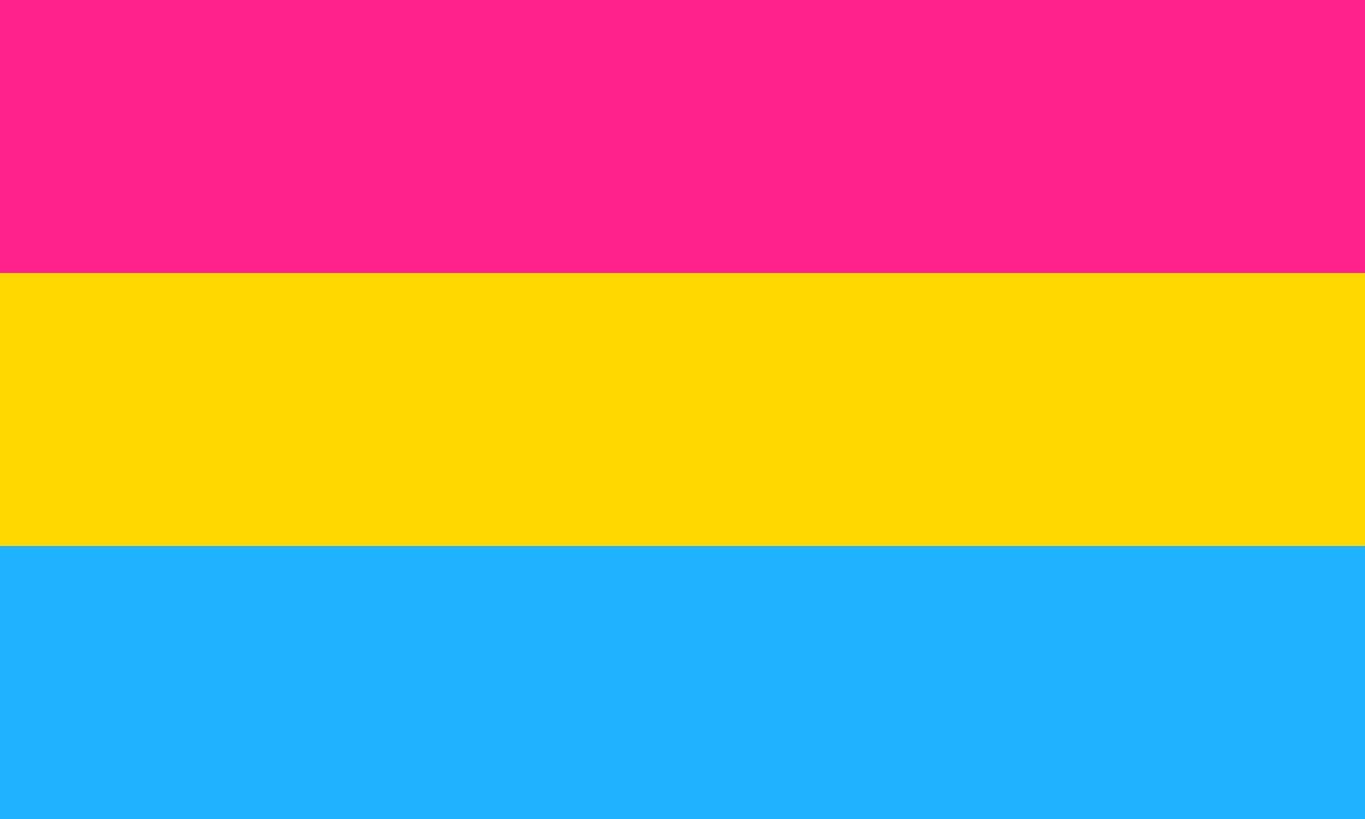 color of the gay flag