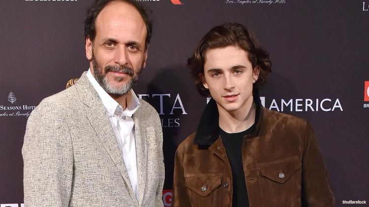 Timothee Chalamet Luca Guadagnino May Reunite For A Cannibalism Movie